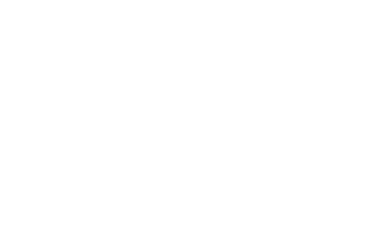 saam architecture